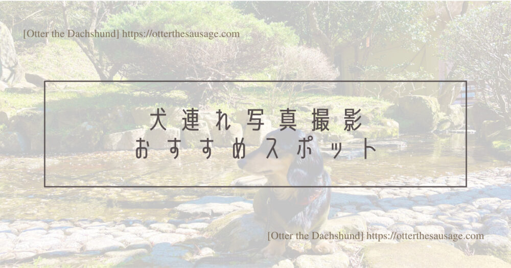 Blog Header image_犬と旅行_犬連れ旅行_熱海梅園_Atami plum garden_犬連れ写真撮影おすすめスポット